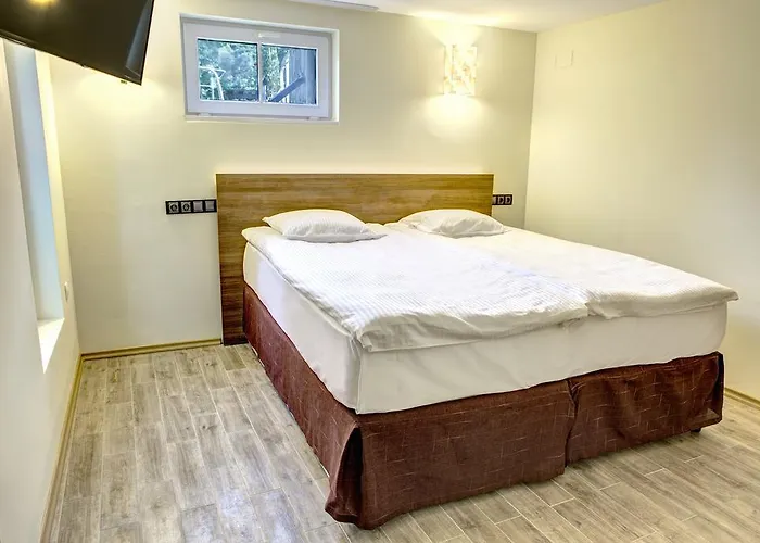 ホテル ダッチェス 3*